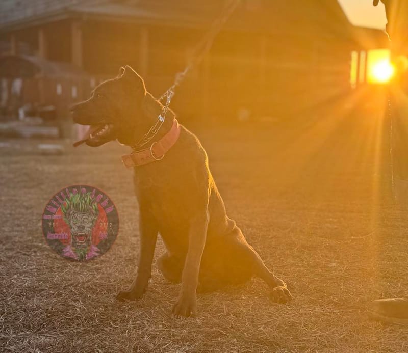 KJCC Banshee Song of Death & Sorrow