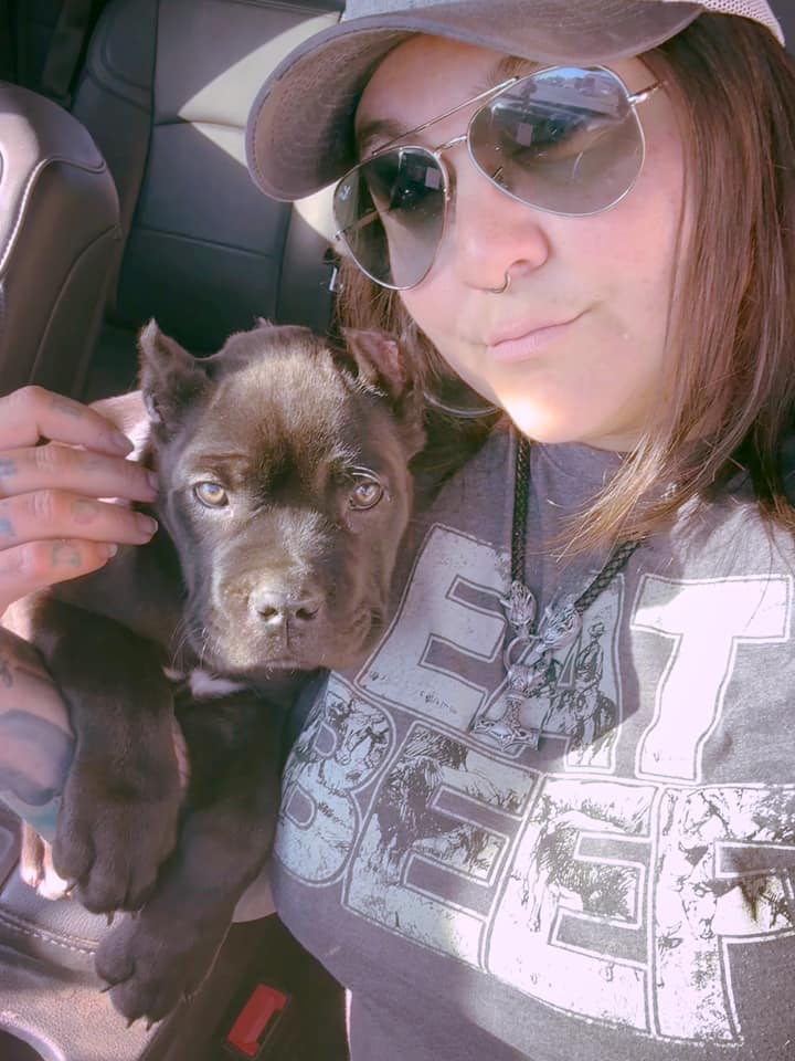 Toxin Venomsson (Pending)