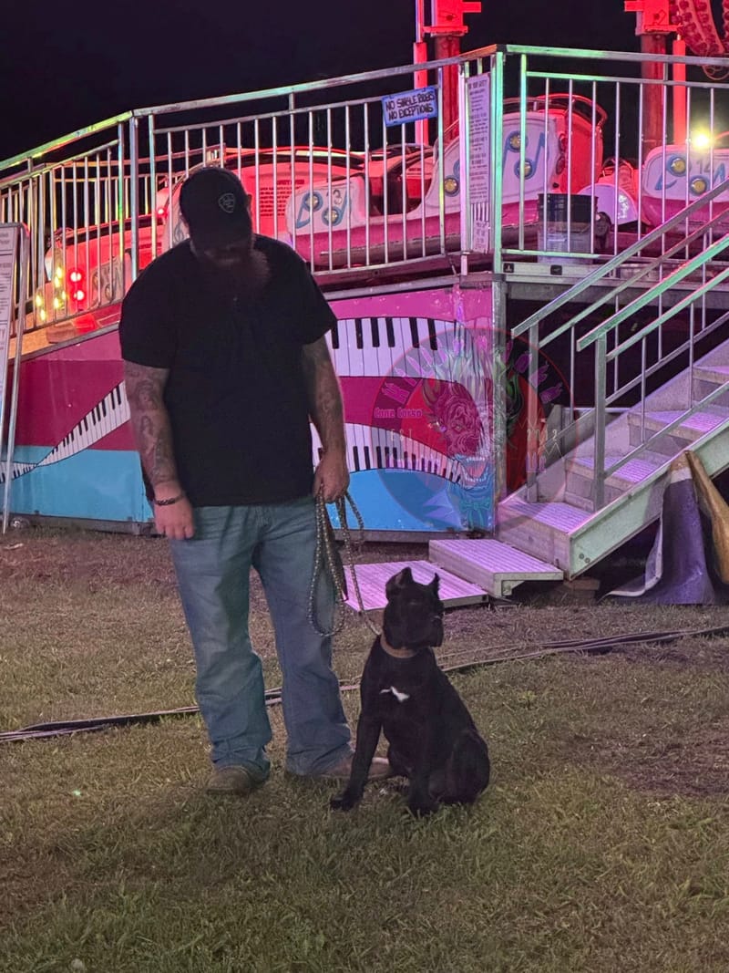 Toxin Venomsson (Pending)