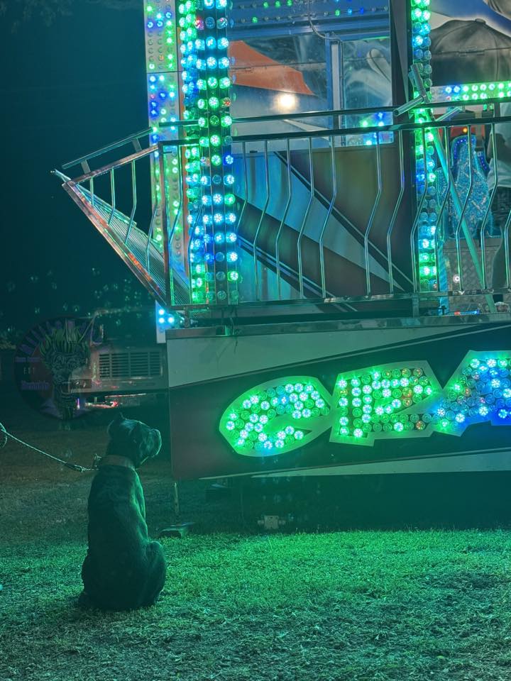 Toxin Venomsson (Pending)