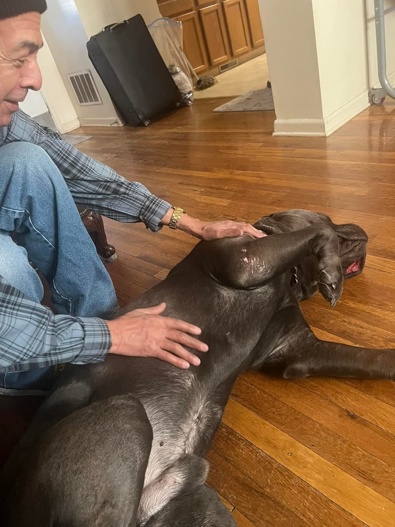 Maximus