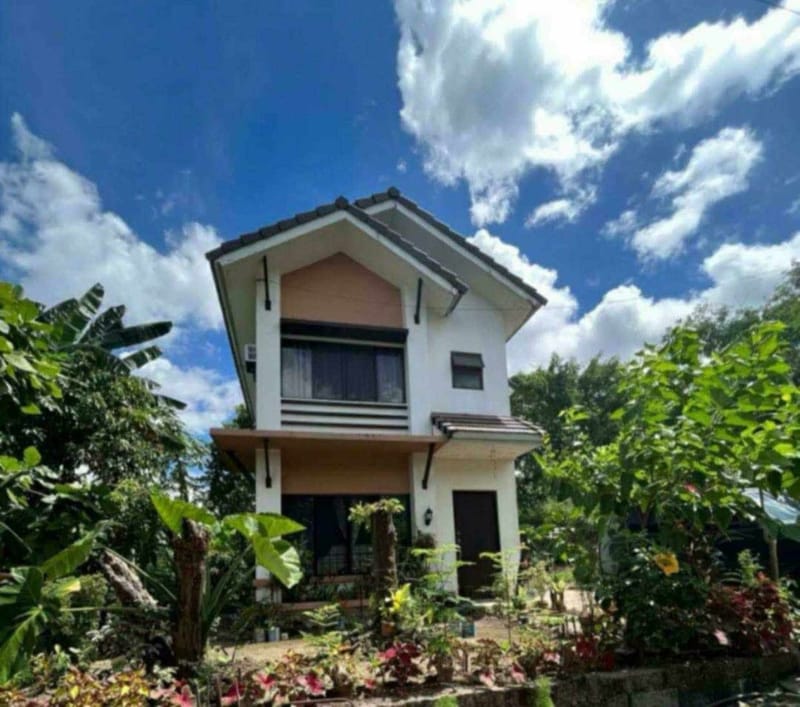 SOUTH PEAK SUBDIVISION, SAN PEDRO LAGUNA. P10,000,000.00