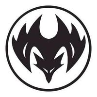 Black Dragon Miniatures  - 1 Dayer