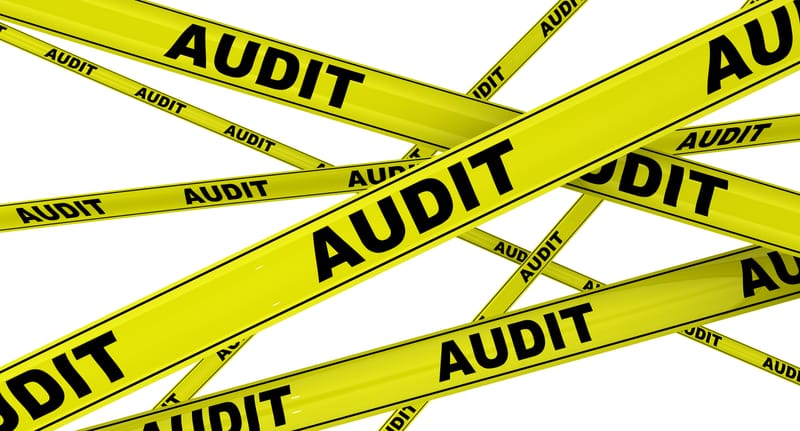 How Business Owners Can Mitigate the Risk of a CRA Audit
