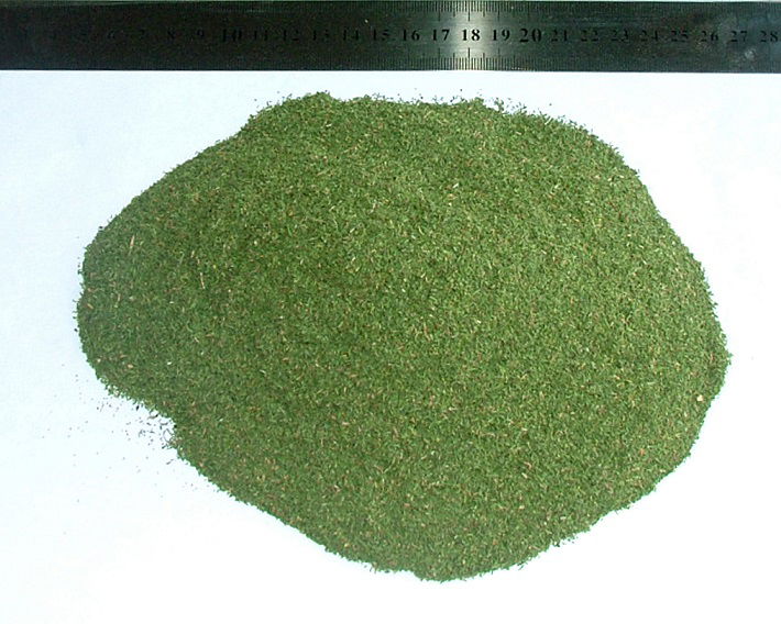 Dill Tips