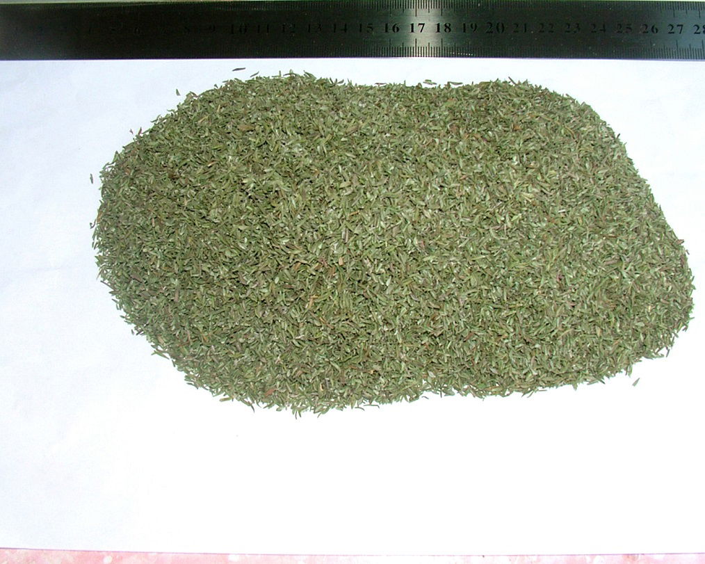 Thyme & Savory