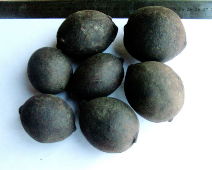 Black Lemon Whole