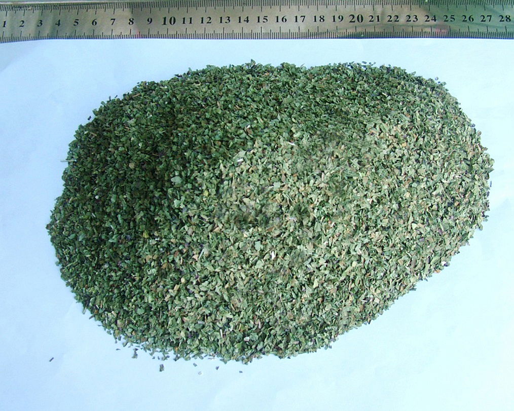 Spearmint TBC