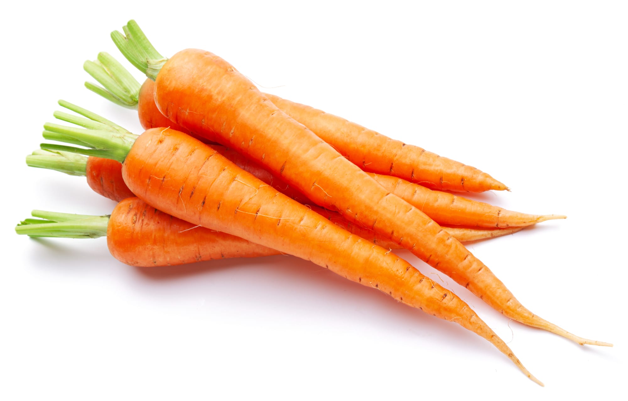 carrot