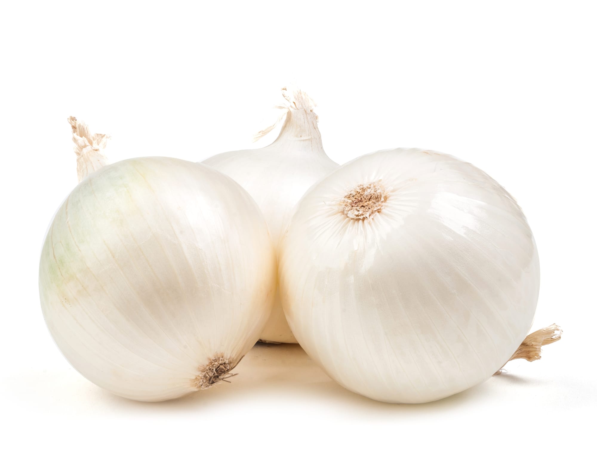 white onion