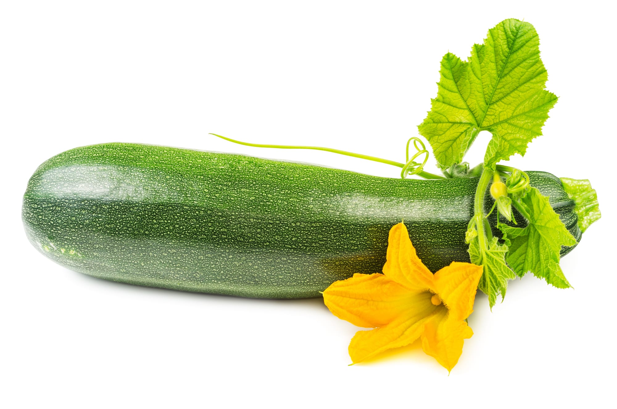 zucchini