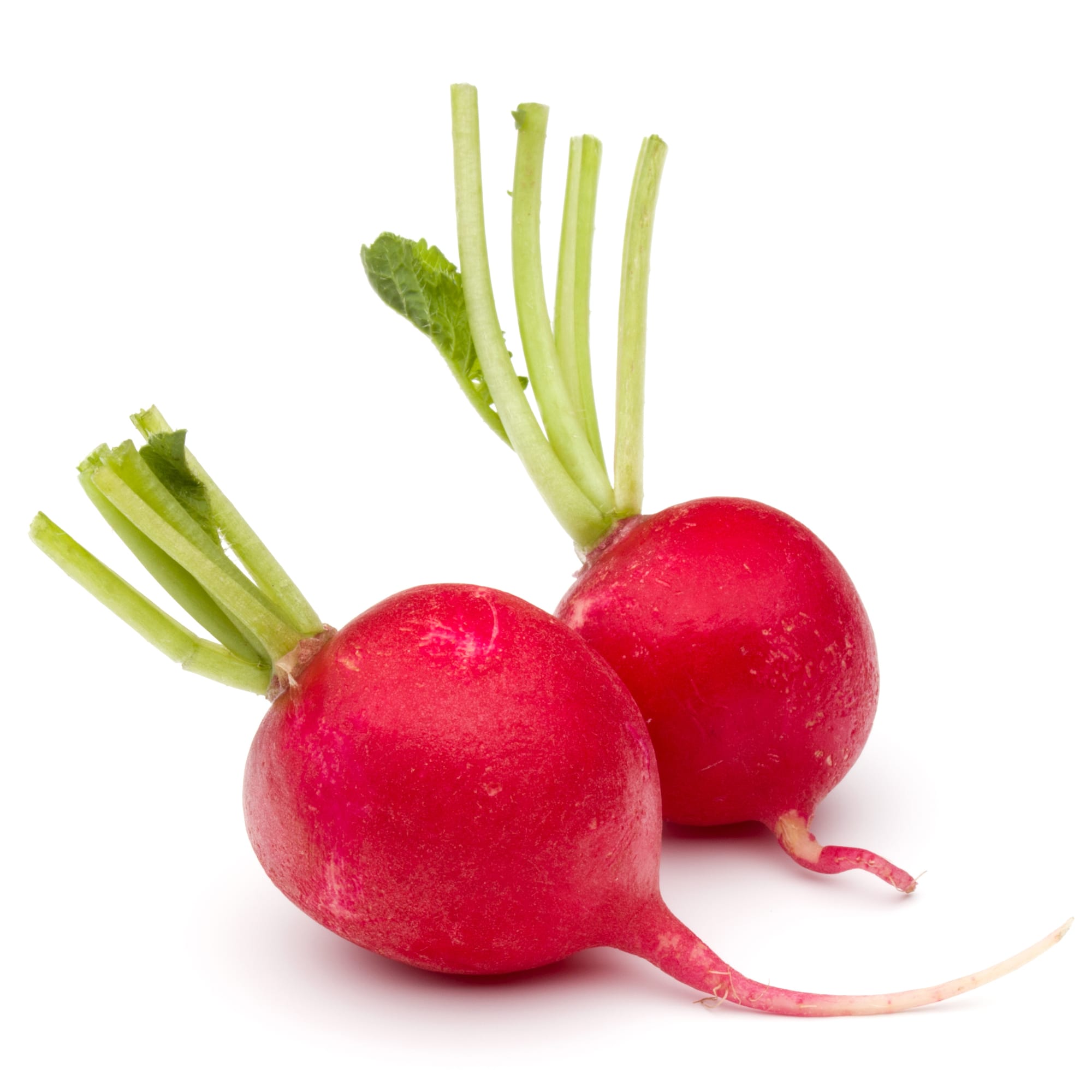 Red radish