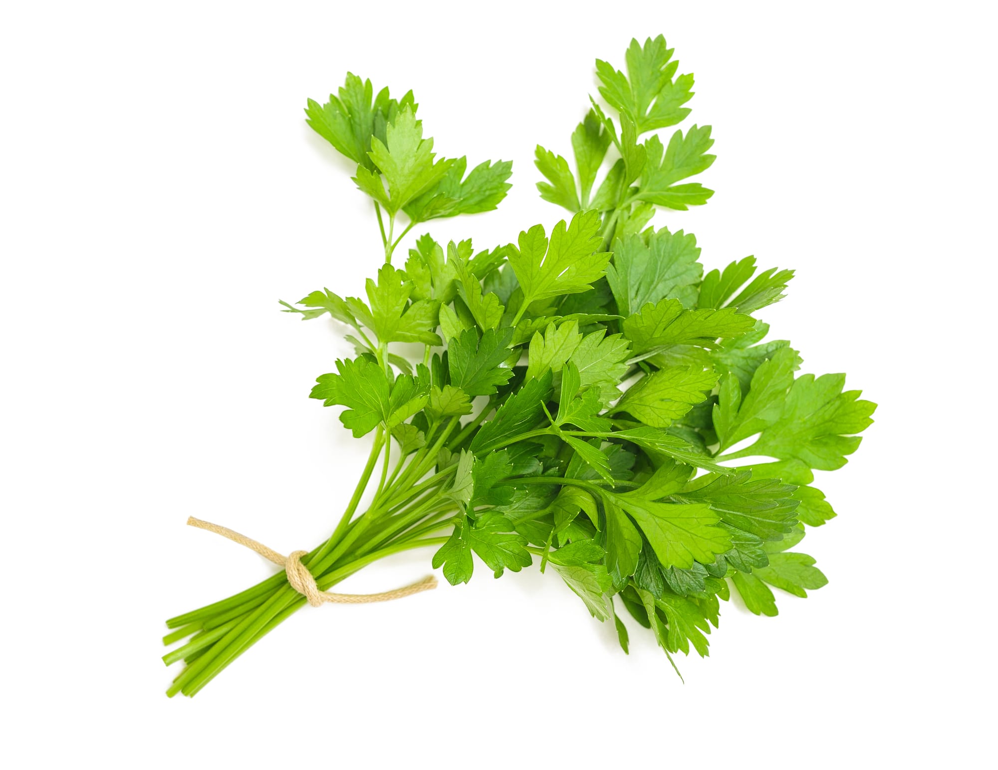 parsley