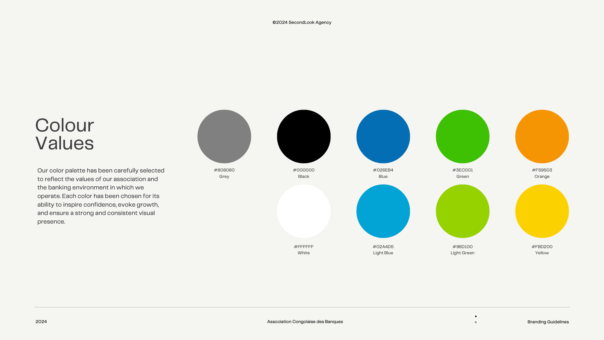  Brand Guideline Development & Website Design