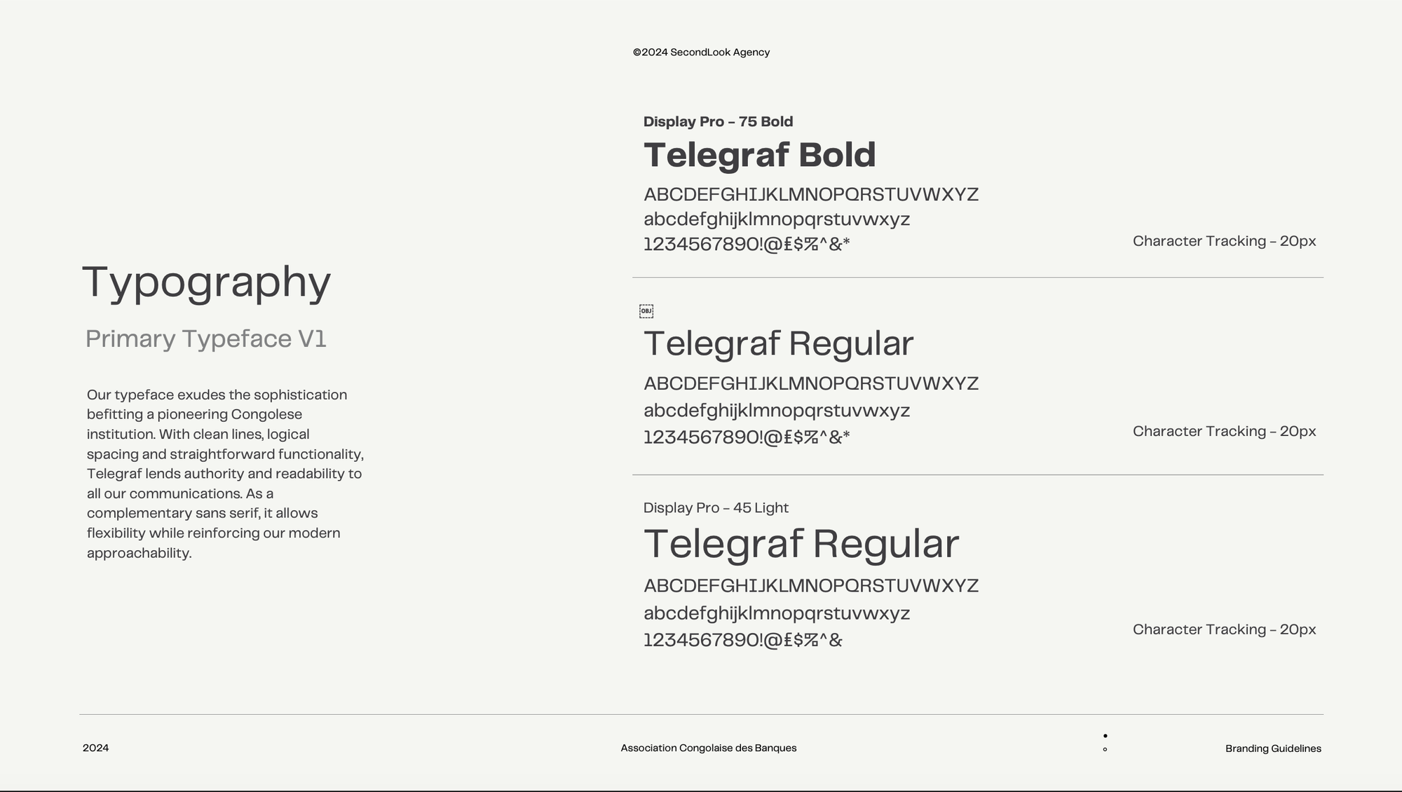  Brand Guideline Development & Website Design