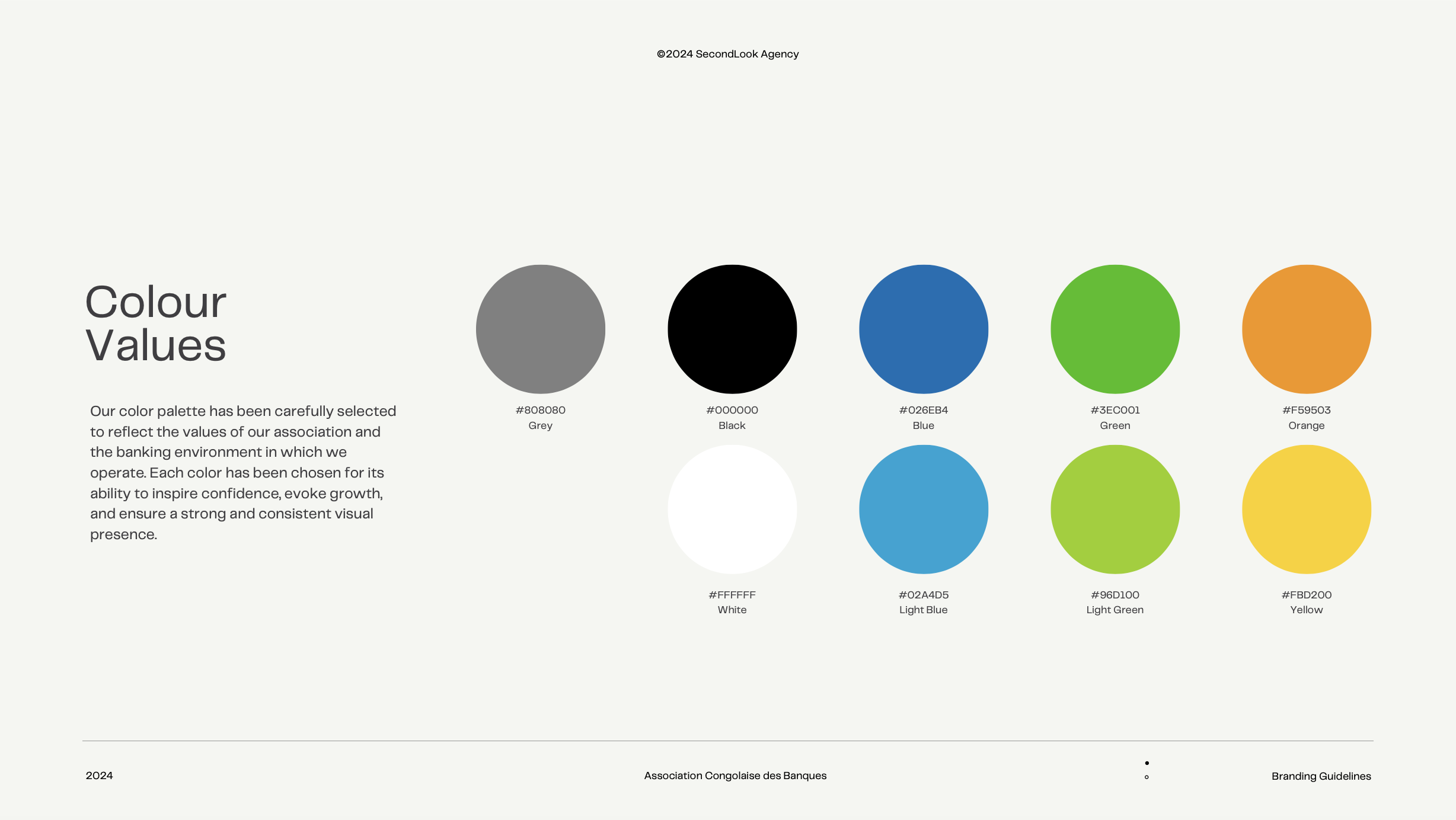 Brand Guideline Development & Website Design