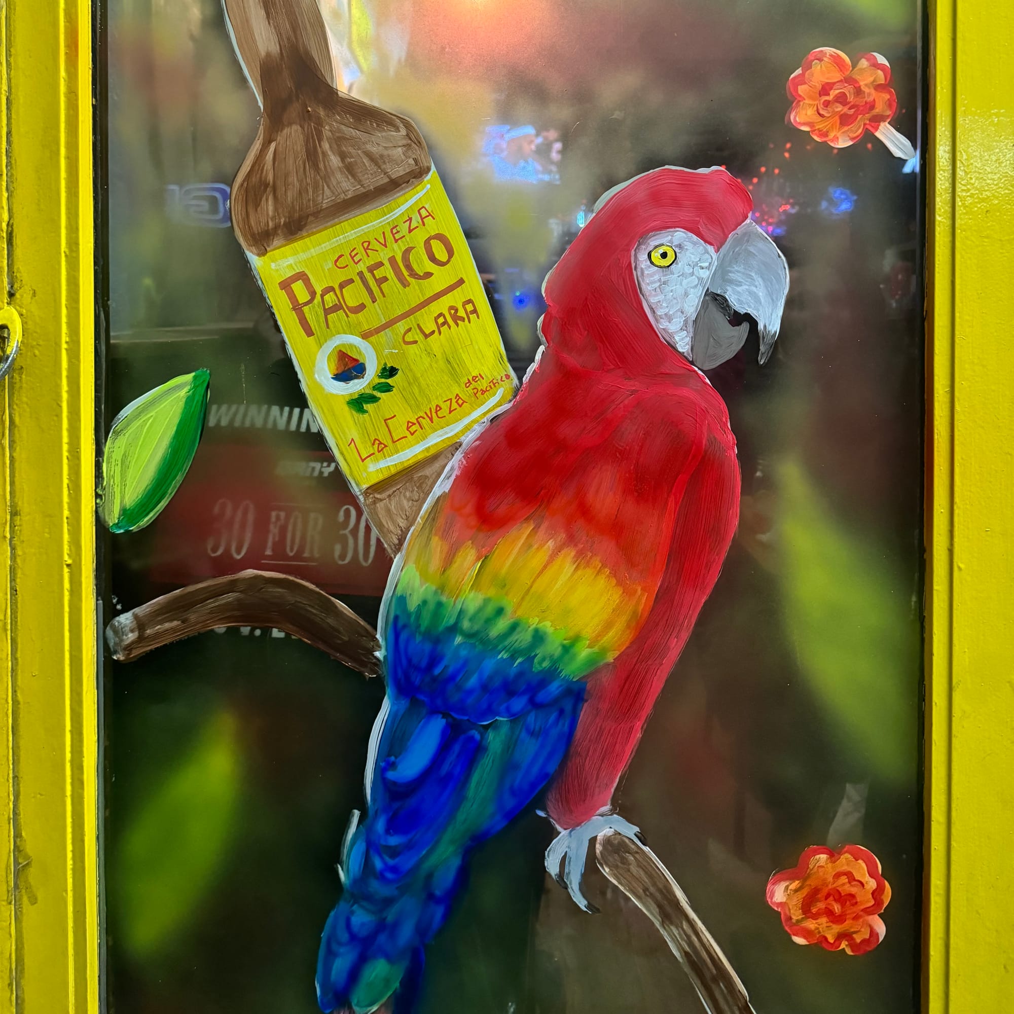 2025 Cinco De Mayo Window at 5 Burro Cafe- Forest Hills, Queens