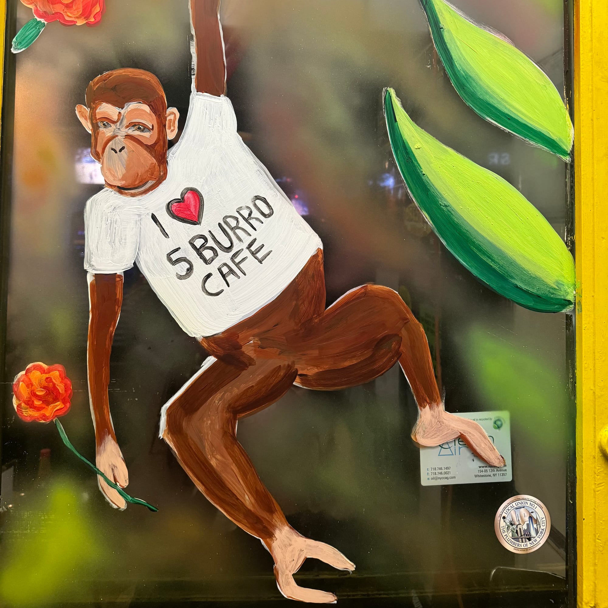 2025 Cinco De Mayo Window at 5 Burro Cafe- Forest Hills, Queens