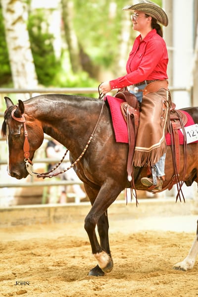 Immersion Privative en équitation western