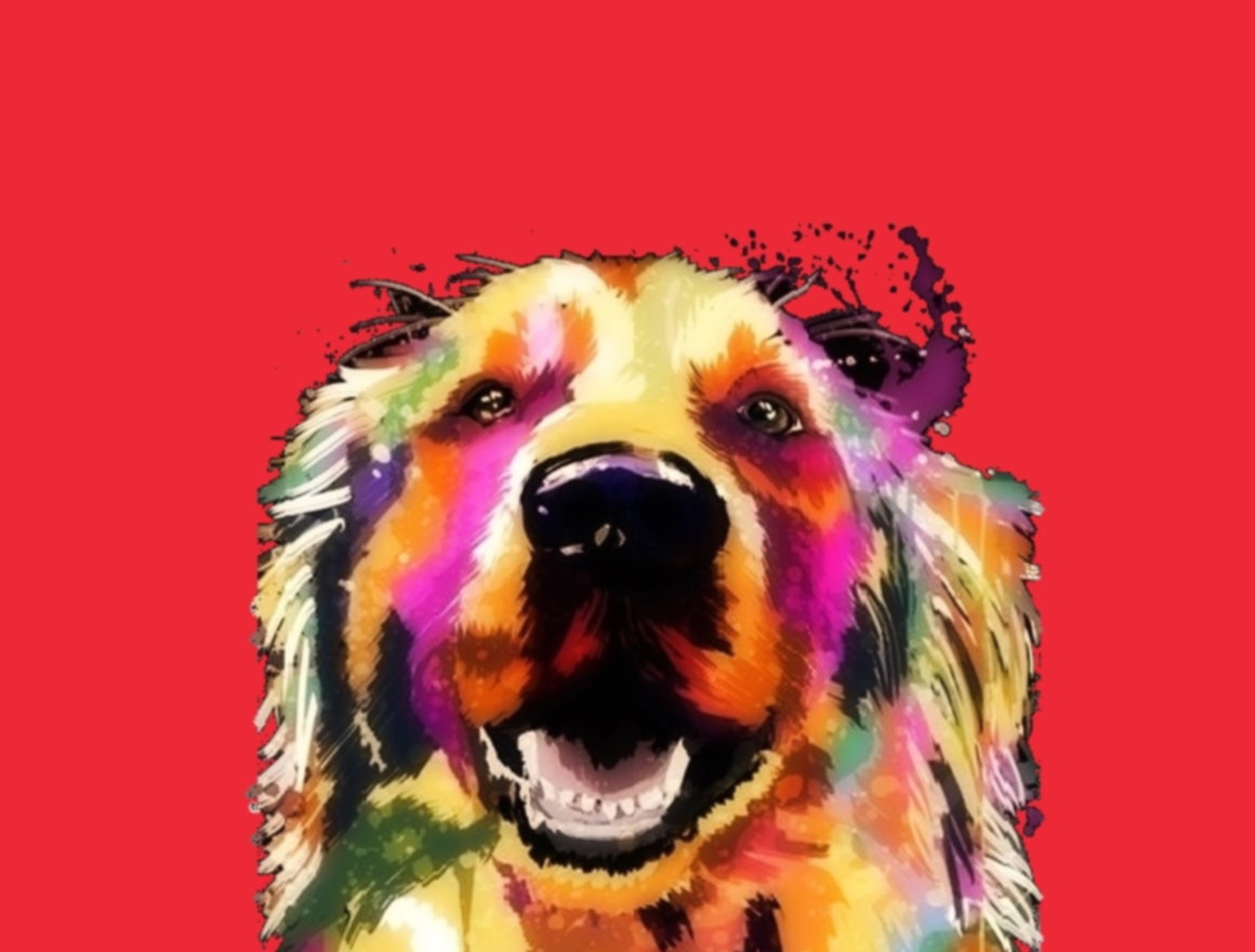 In memory of my Golden Retriever Toy! ✨