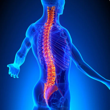 Taller Facturación Quiropráctica