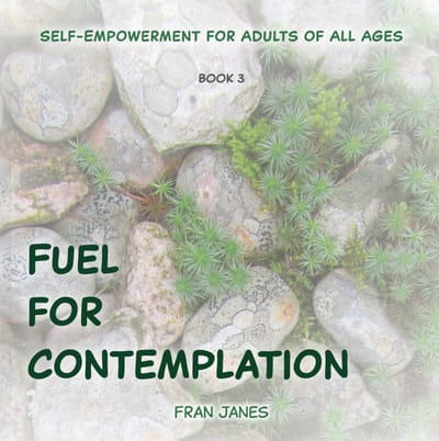 Discussion Guide - Book #3