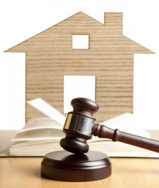 Employment Lawyer Auckland