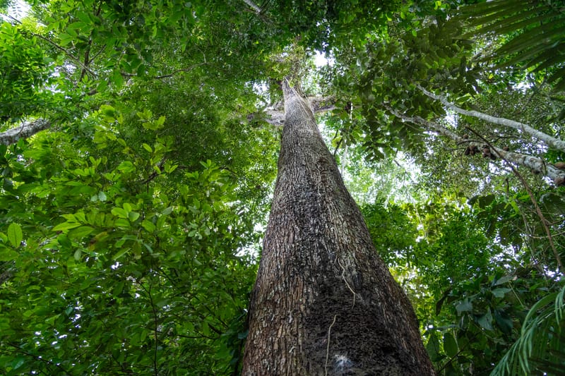 Konsultacja psychologiczna pary