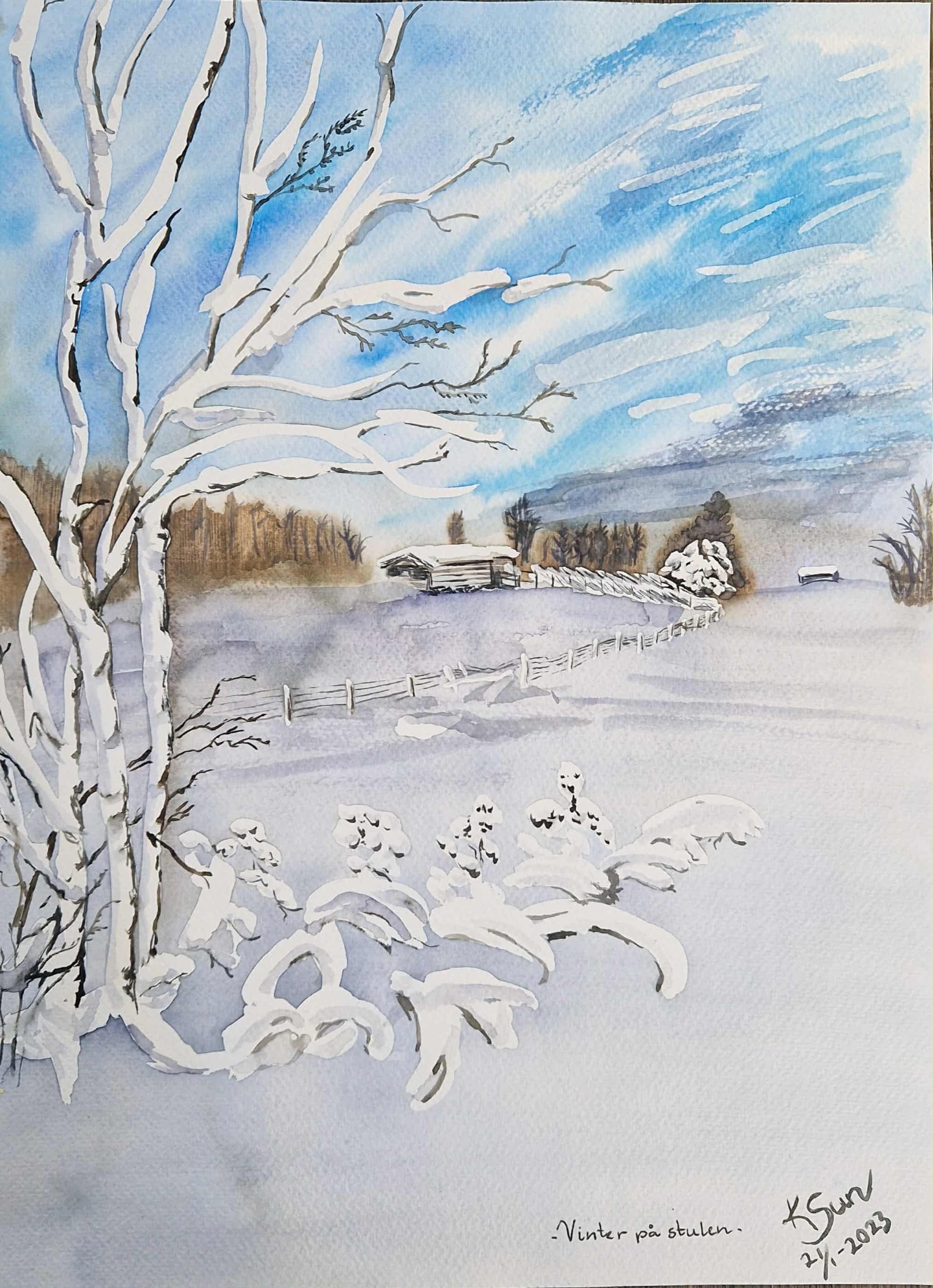 Vinter på stulen Kr 500,-