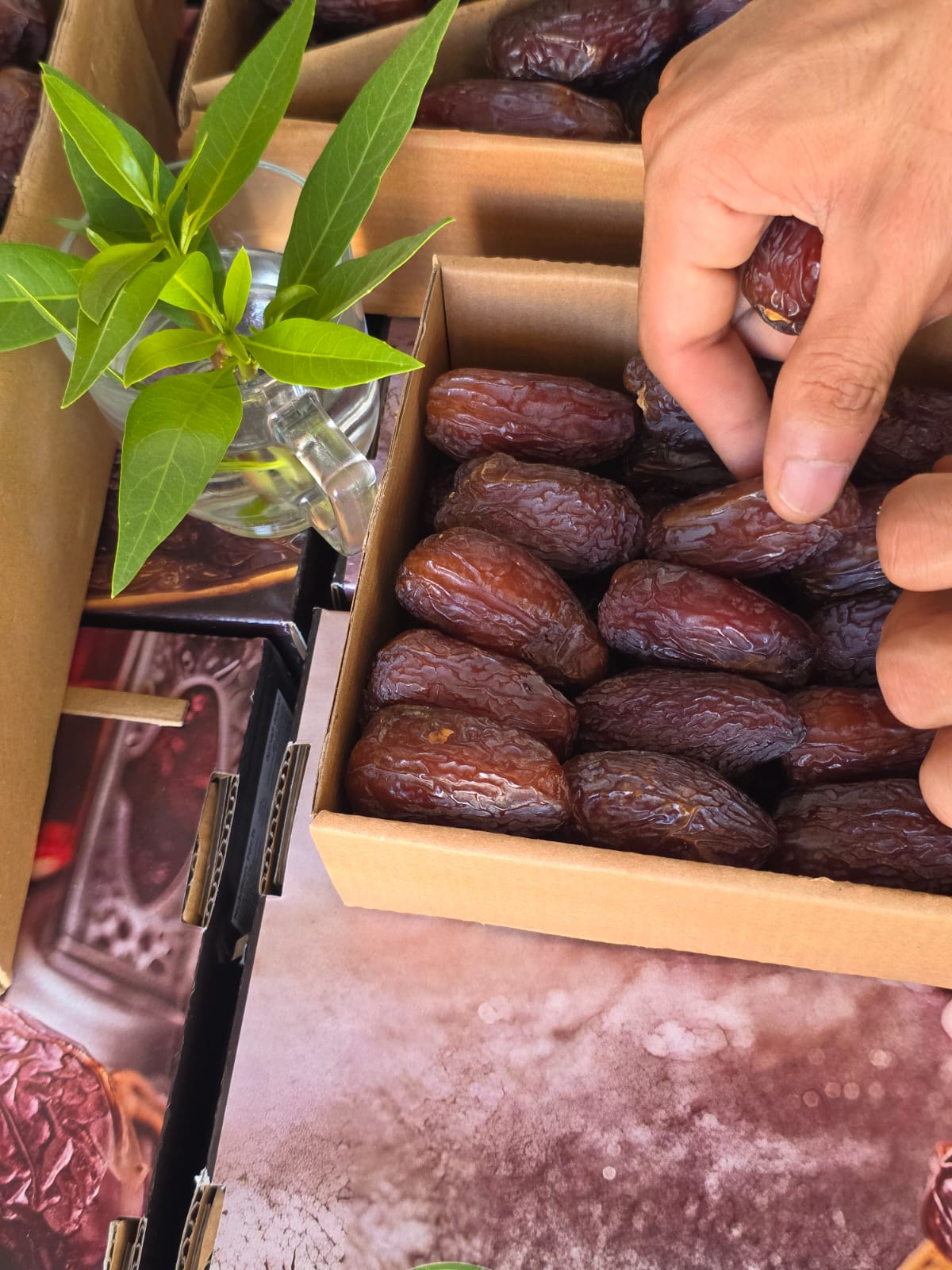 Ajwa dates