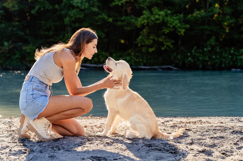 Overnight and Longterm Boarding for Dogs
