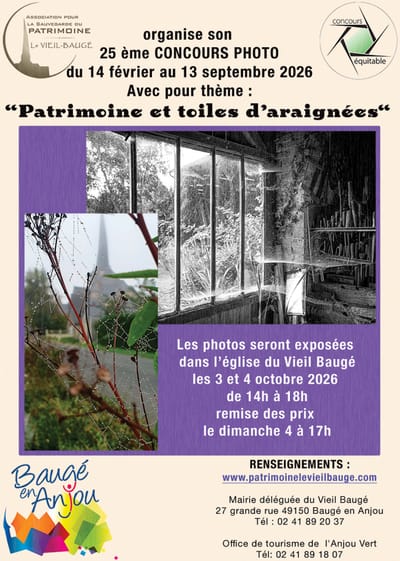 Concours 2026 - "Patrimoine et toiles d'araignées"