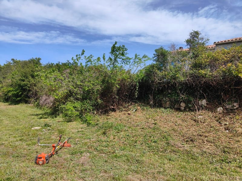 VENTE exclusivement en magasin