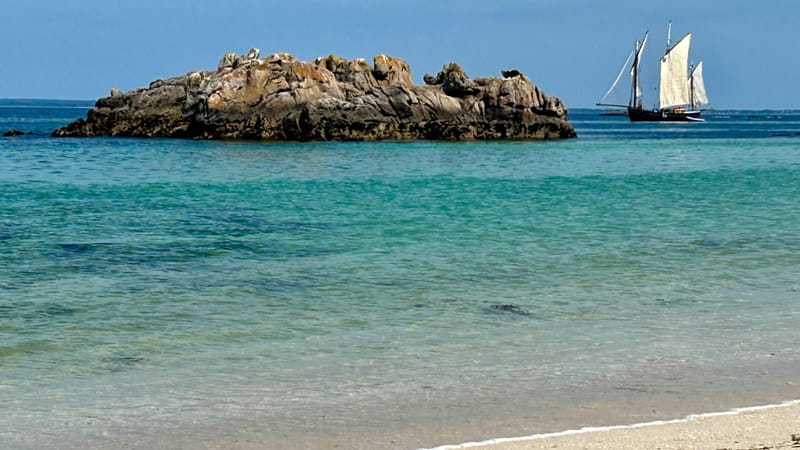 Sortie en mer