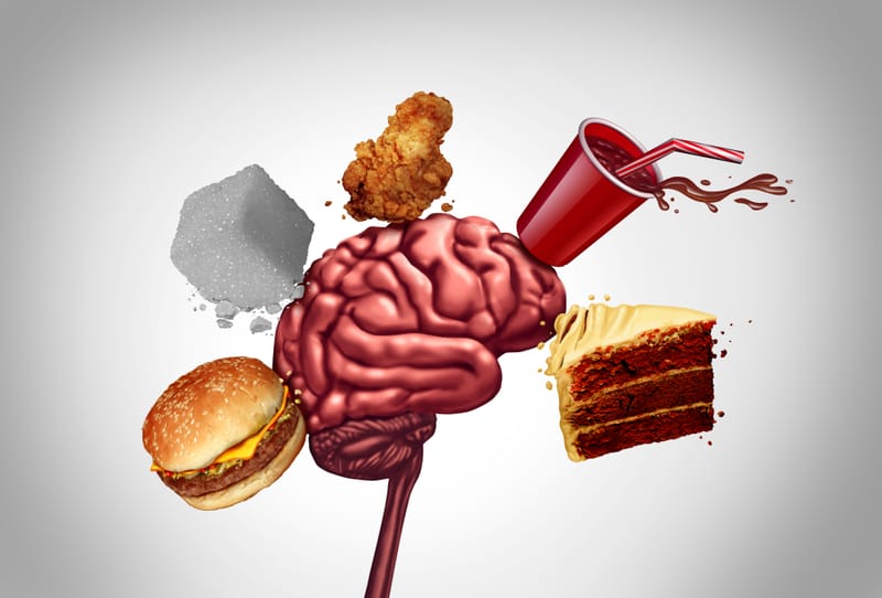 Darmgesunde Brainfood Bar - Power für Kopf und Bauch
