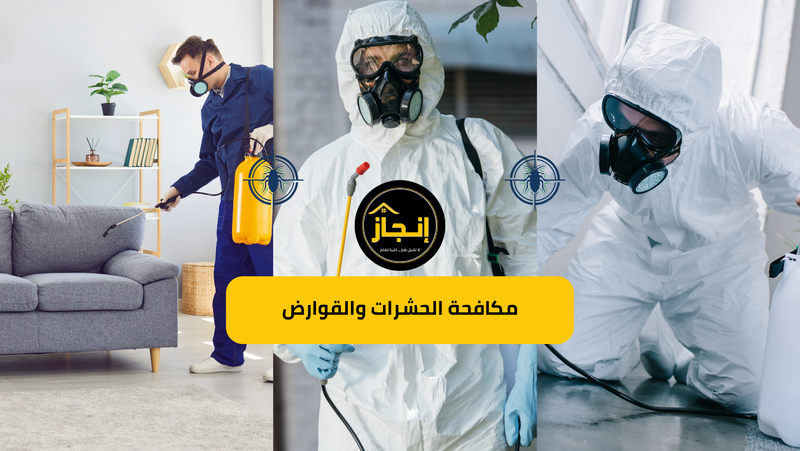 مكافحة الحشرات والقوارض