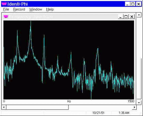 The Identi-Phi Program from BioWaves. It allows for real time voice analysis.