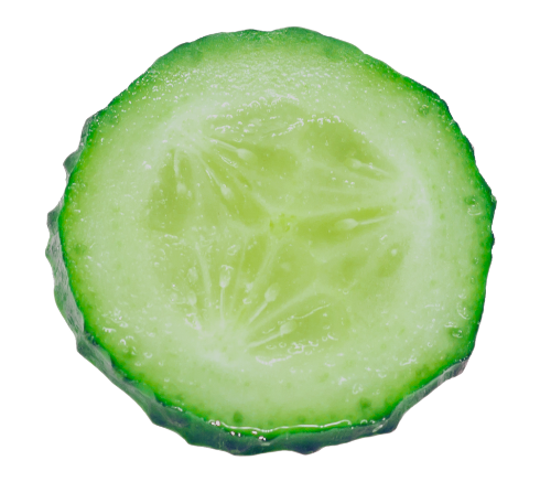 夏の食材なぞなぞ1