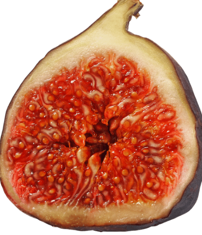 秋の食材なぞなぞ３