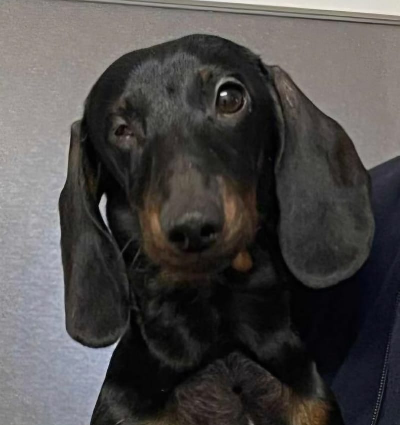 Kleiner Mann mit Handicap