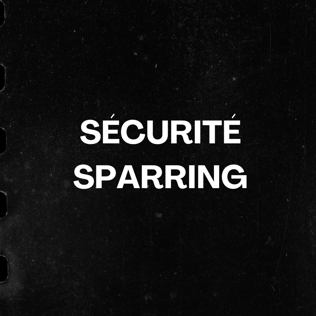 CONSEILS DE SÉCURITÉ EN SPARRING