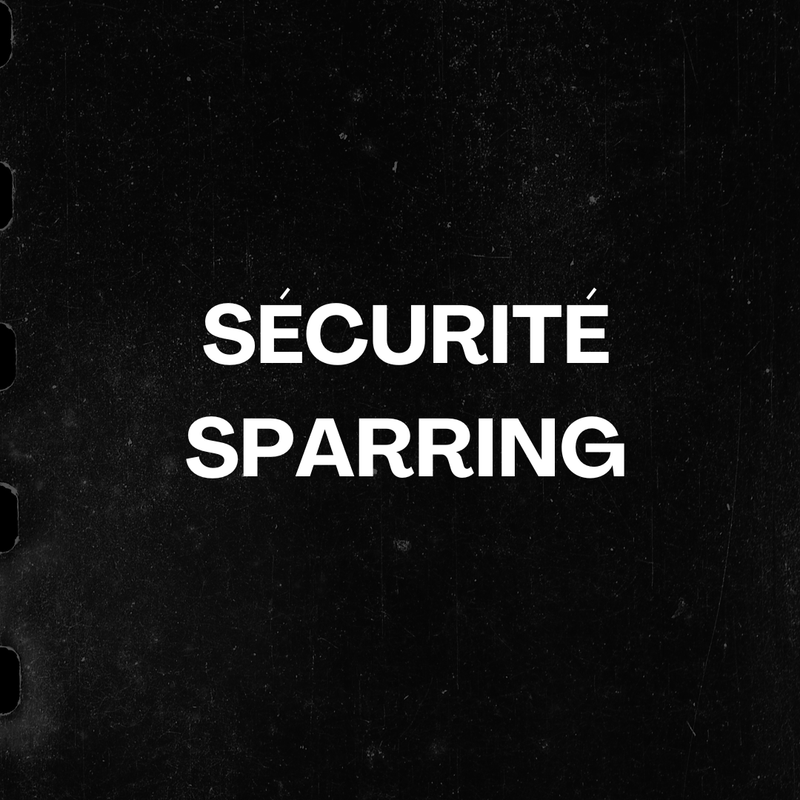 CONSEILS DE SÉCURITÉ EN SPARRING