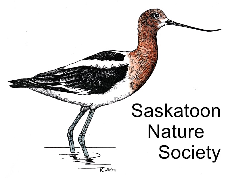 Gratitude to Saskatoon Nature Society: Cultivating the Next Generation of Nature Stewards