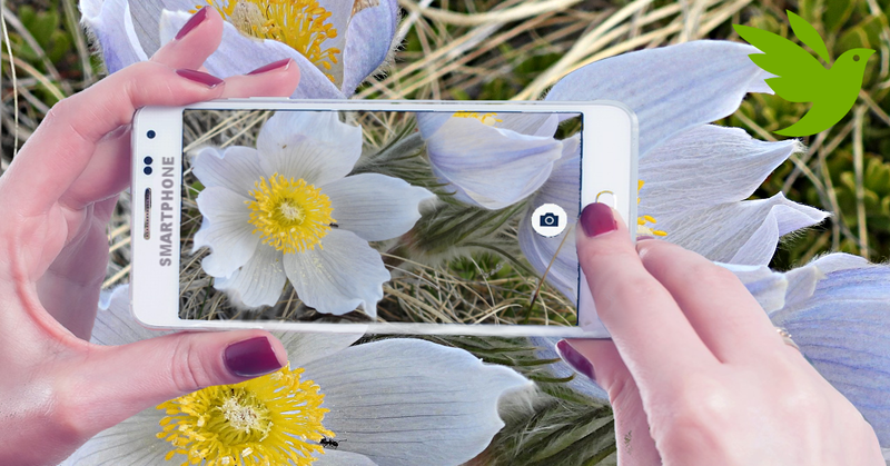 West Swale Wetlands Exploration: Richard St. Barbe Baker Afforestation Area