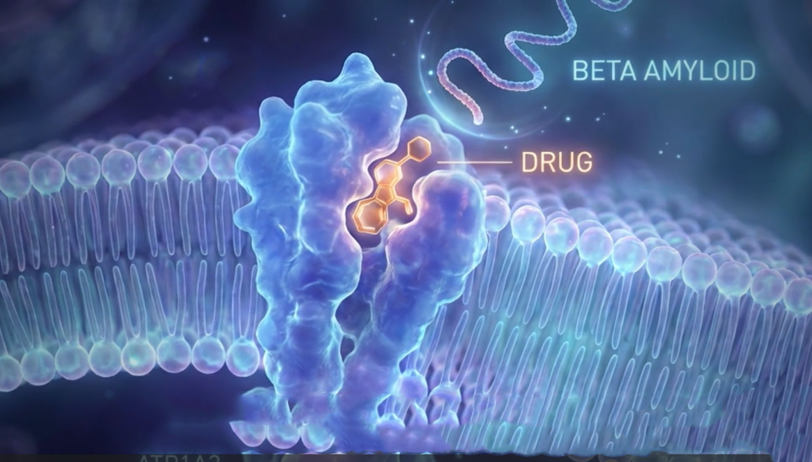 Mechanism of action of Porosome Therapeutics Lead Alzheimer's Drug Explained in a 1 min Video