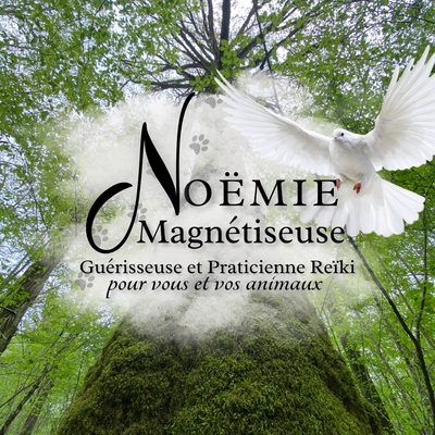 noemagnetisme