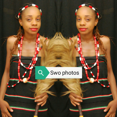 About Swoness World of arts &amp; culture  image