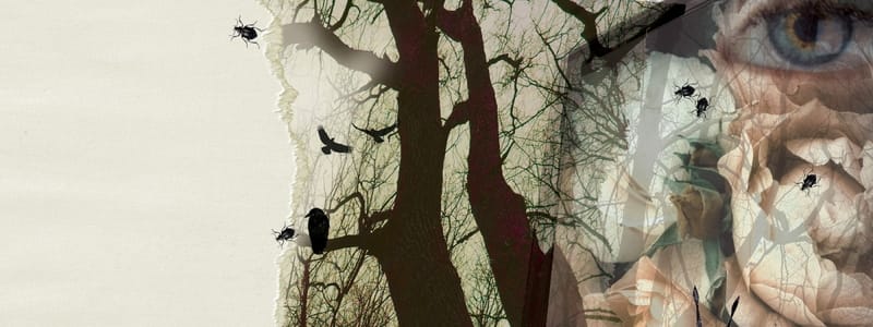 Debussy PELLÉAS ET MÉLISANDE at Longborough Festival Opera 28 June – 10 July