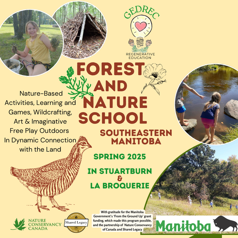 Spring Forest and Nature School