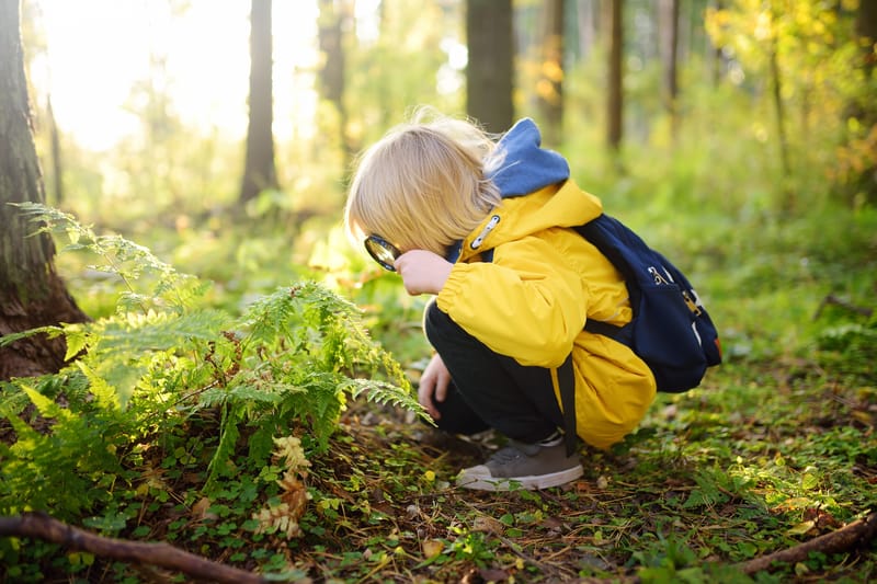 Forest School FAQ